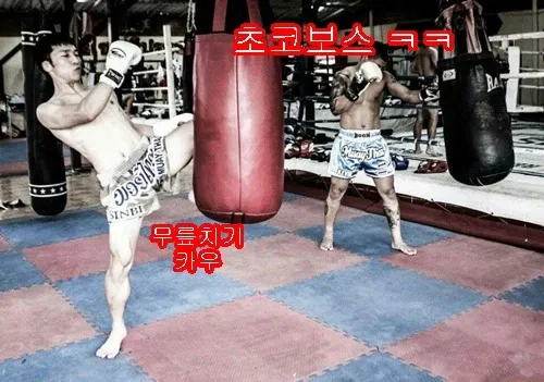 과거 수련 기록 사진
